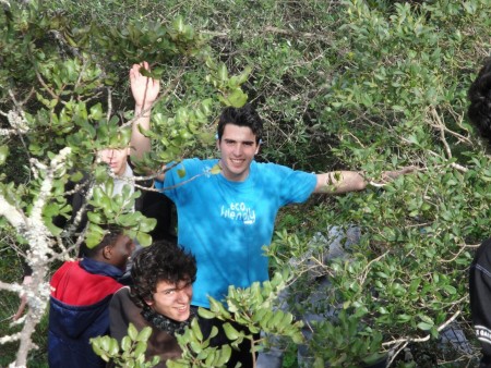 NO MEIO DOS ARBUSTOS