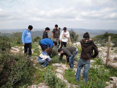 À PROCURA DAS ERVINHAS AROMÁTICAS